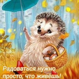 Фото от Алексей Ракитин